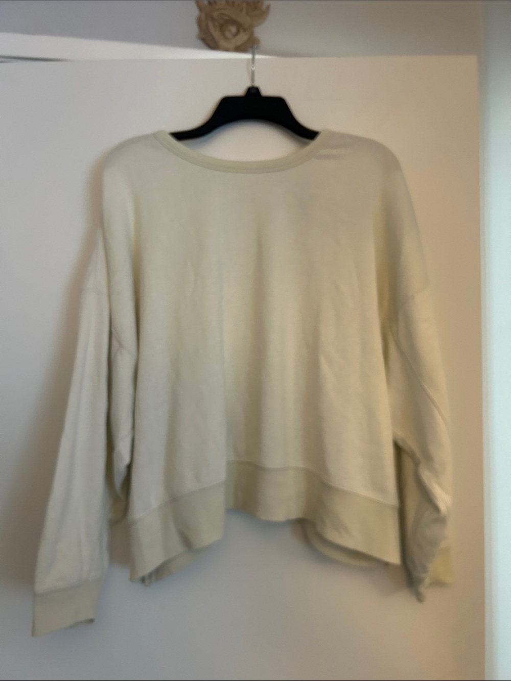 Ocean Drive Women's Cropped Crewneck Sweatshirt in Light Green
